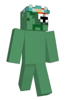 notedfr Minecraft avatar full body