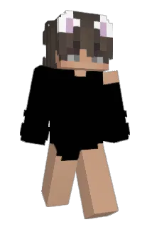 notionMC_ Minecraft avatar full body