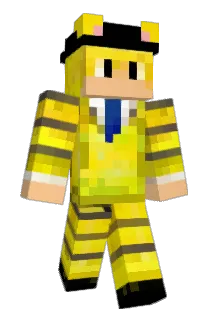 notonyourlevel Minecraft avatar full body