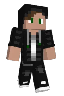 notpinguin Minecraft avatar full body