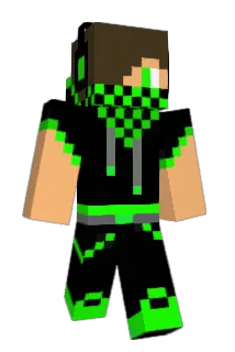 notpokii Minecraft avatar full body