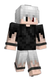 notsevyn Minecraft avatar full body