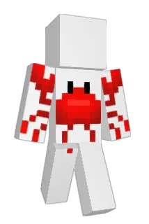notskyy Minecraft avatar full body