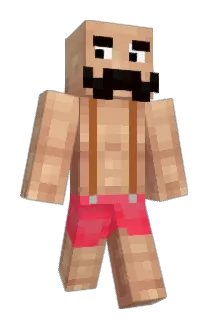 notywy Minecraft avatar full body