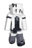 novisuality Minecraft avatar full body