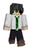 noyangzizle Minecraft avatar full body