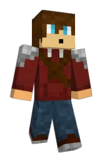 np704 Minecraft avatar full body