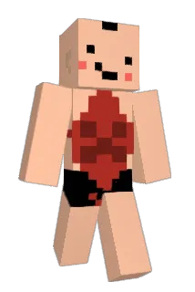 npctkg Minecraft avatar full body