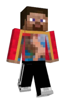nperelmuter Minecraft avatar full body
