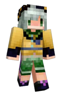 nple29 Minecraft avatar full body