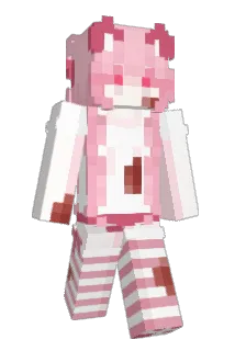 npu Minecraft avatar full body