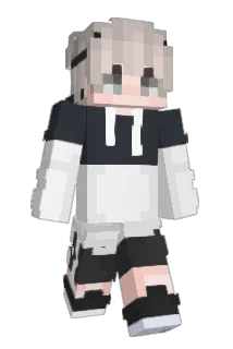 nqves Minecraft avatar full body
