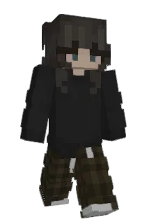 nrbi Minecraft avatar full body