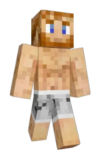 nschristie Minecraft avatar full body