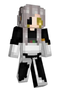 nskywalker89 Minecraft avatar full body
