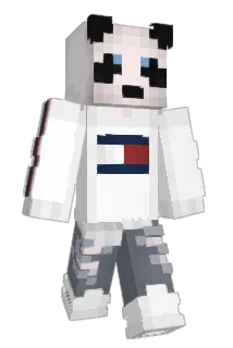nthomas13 Minecraft avatar full body