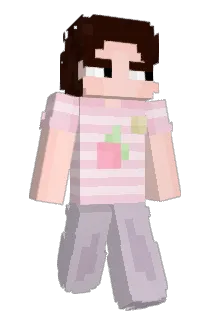 nty__ Minecraft avatar full body
