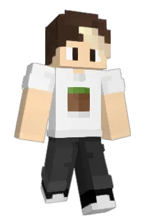 ntyr Minecraft avatar full body
