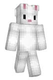 nuben Minecraft avatar full body