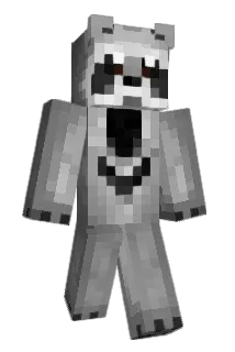 nuggetlife21 Minecraft avatar full body