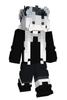 nulfl Minecraft avatar full body