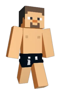 numbernine Minecraft avatar full body