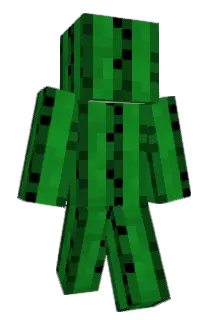 nummervogel Minecraft avatar full body