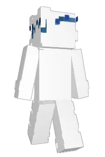 numr Minecraft avatar full body
