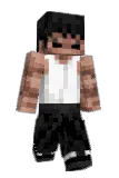 nunchukz Minecraft avatar full body