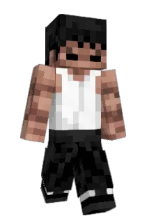 nunchukz Minecraft avatar full body