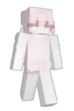 nutro Minecraft avatar full body