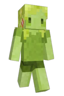 nuttcone Minecraft avatar full body