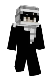 nvshi Minecraft avatar full body