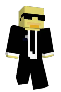 nweb8 Minecraft avatar full body