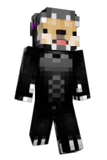 nwid Minecraft avatar full body