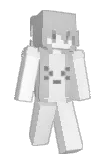 nwvz Minecraft avatar full body