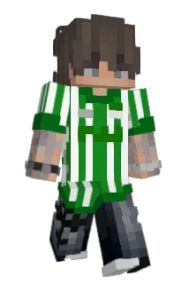 nwwo Minecraft avatar full body