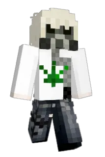 nwwqctine Minecraft avatar full body