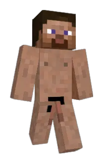 nxmity Minecraft avatar full body