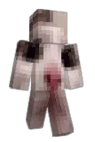 nxtsuki Minecraft avatar full body