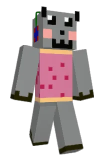 nyancat103 Minecraft avatar full body