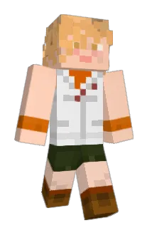 nyancomesi Minecraft avatar full body