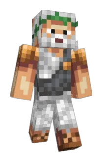 nyborg9 Minecraft avatar full body