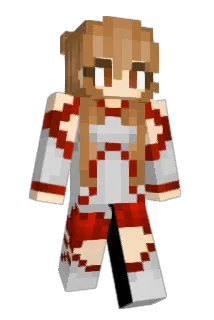 nyswc Minecraft avatar full body