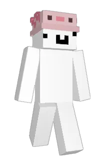 nyyyl Minecraft avatar full body