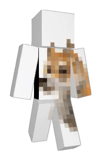 oChou Minecraft avatar full body