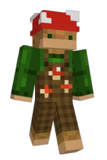 oF00 Minecraft avatar full body