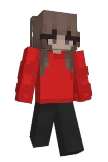oSAROo Minecraft avatar full body