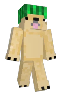 oTomb6 Minecraft avatar full body