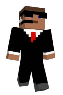 oZerdin Minecraft avatar full body